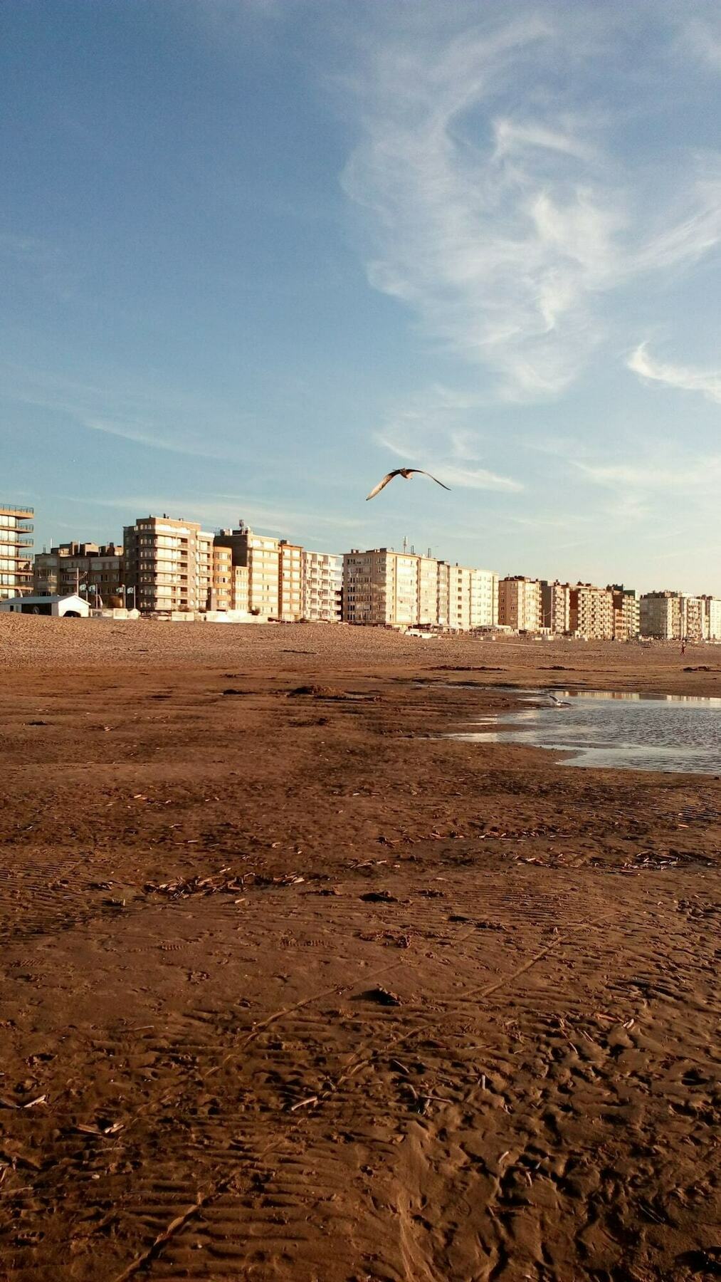 Bed Aan Zee Kabine7 Koksijde Ngoại thất bức ảnh